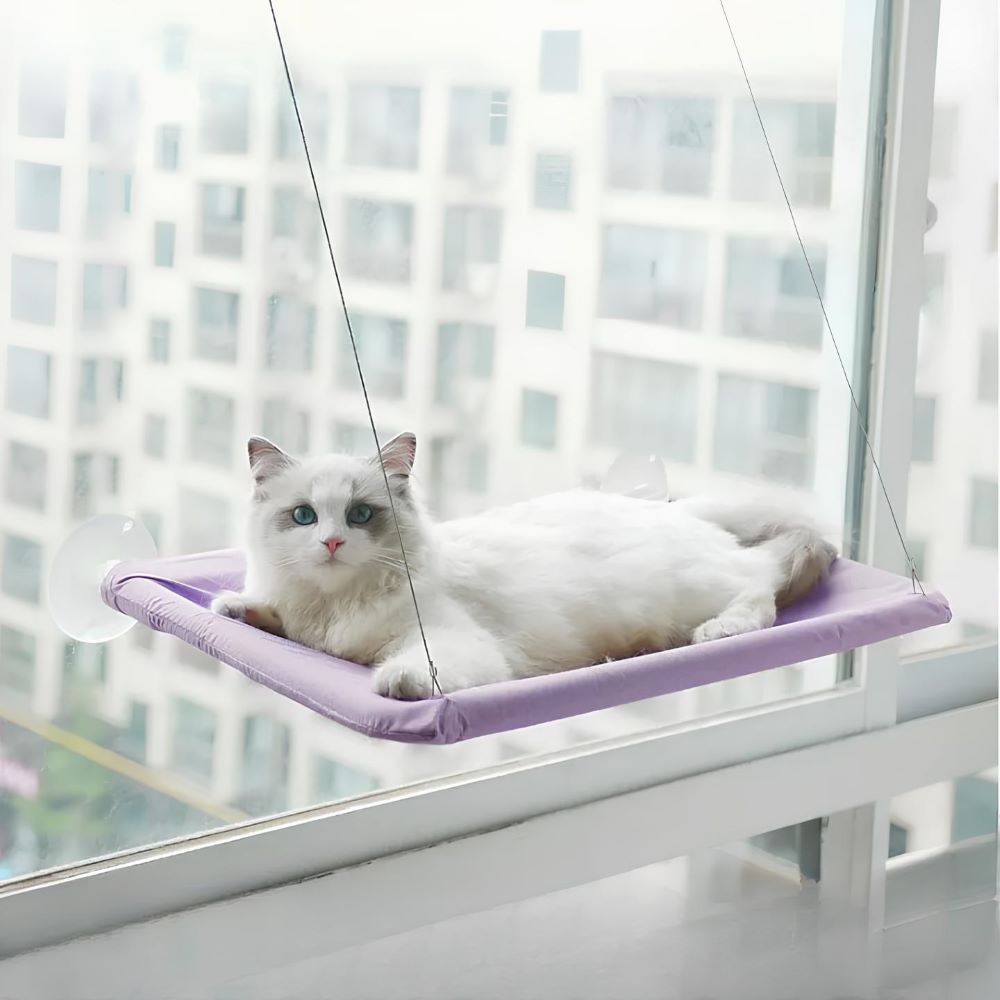 Detachable Cat Window Perch – Elevate Your Feline's Sunbathing Experience - Univelve